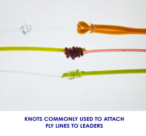 Knots commonly used to attach fly lines to leaders